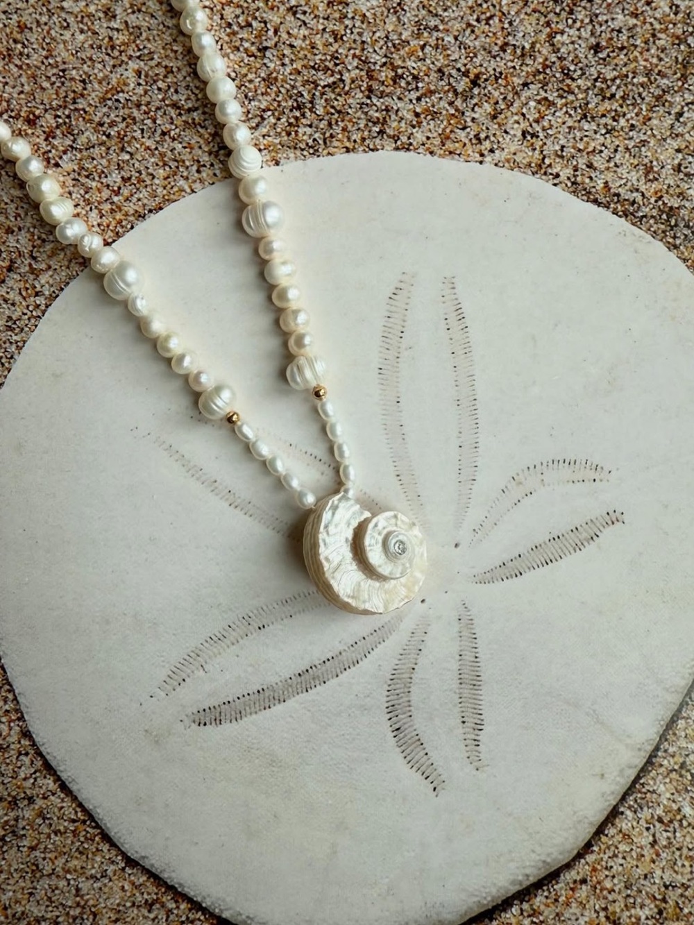 Freshwater Pearl Shell Pendant Necklace - White with Gold Accents